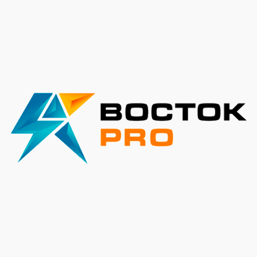 Восток-PRO-logo