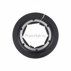 Кольцо пылезащитное уплотнительного узла 264120104A ПромХаб | PromHub