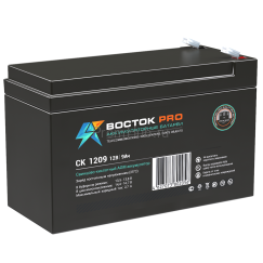 СК 1209 ВОСТОК Аккумуляторная батарея ПромХаб | PromHub